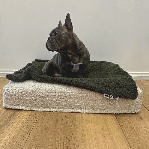 Bedtime Blanket - Khaki-Kubashii