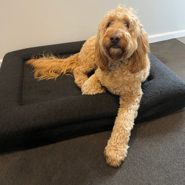 Memory Foam Boucle Bed - Charcoal