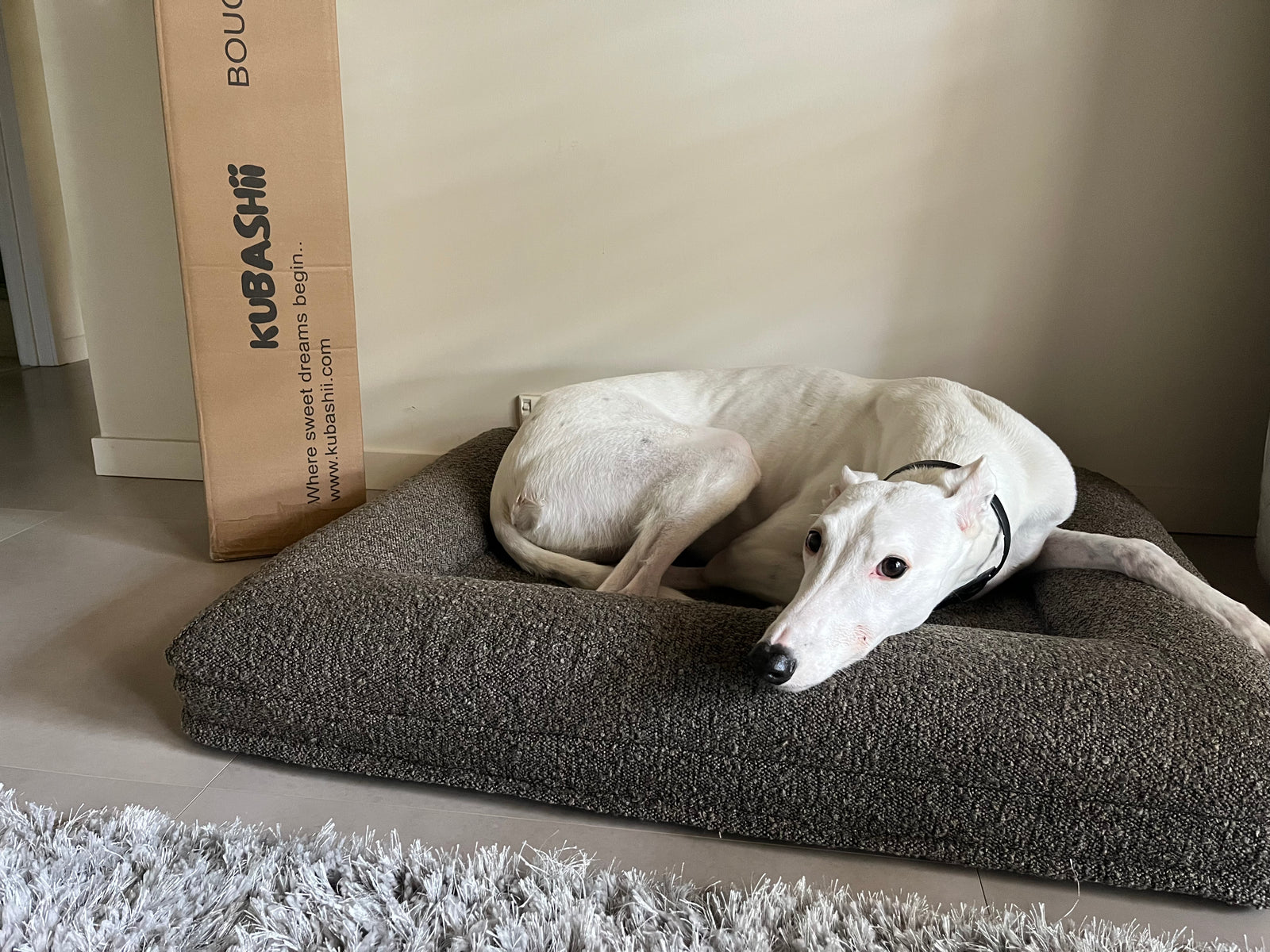 Memory Foam Boucle Bed - Mushroom-Kubashii