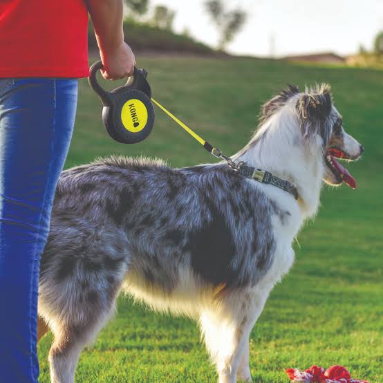 Kong Retractable Dog Lead - Reflect