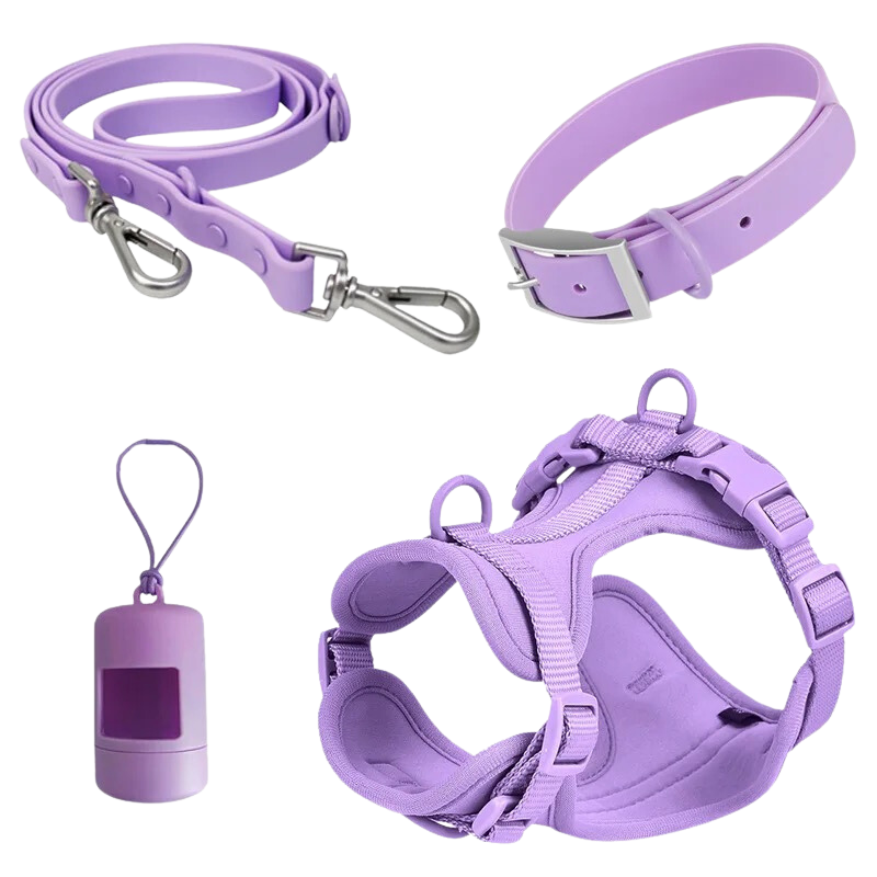 Waterproof Dog Collar - Lilac-Kubashii