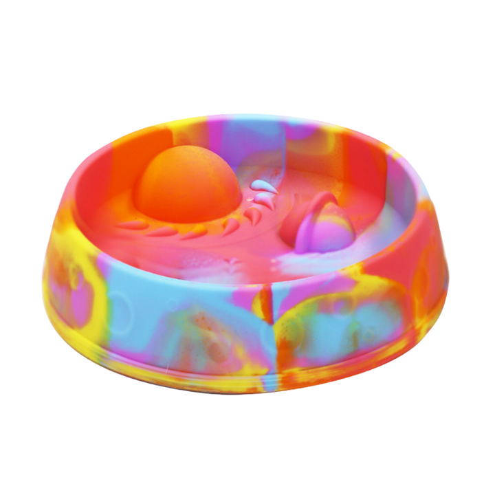 Slow Feeding Galaxy Bowl